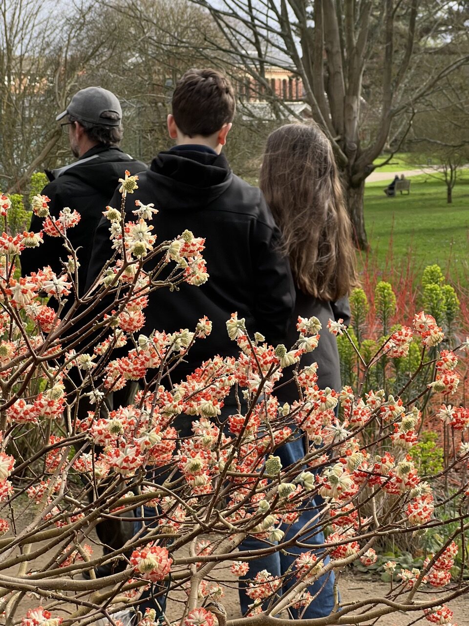 kew gardens en famille