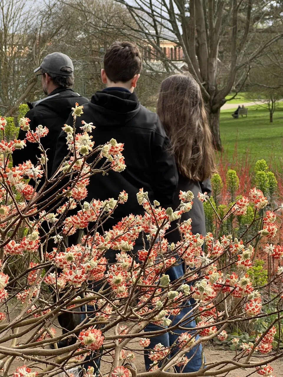 kew gardens en famille