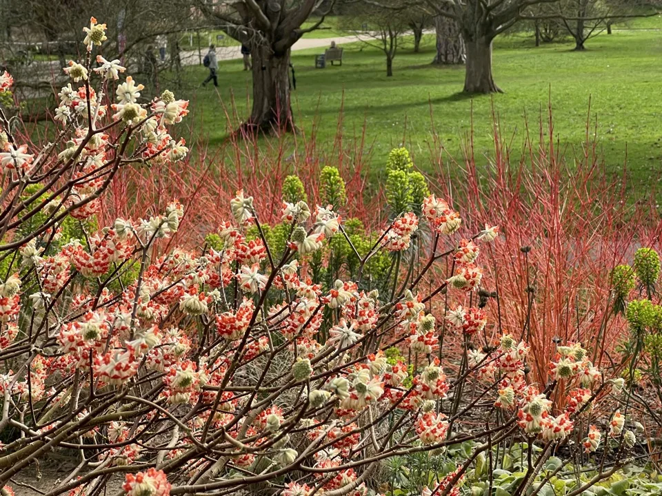 Kew Gardens en une demi-journée