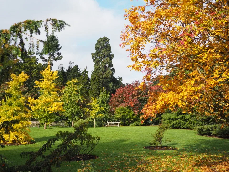 Kew Gardens en une demi-journée