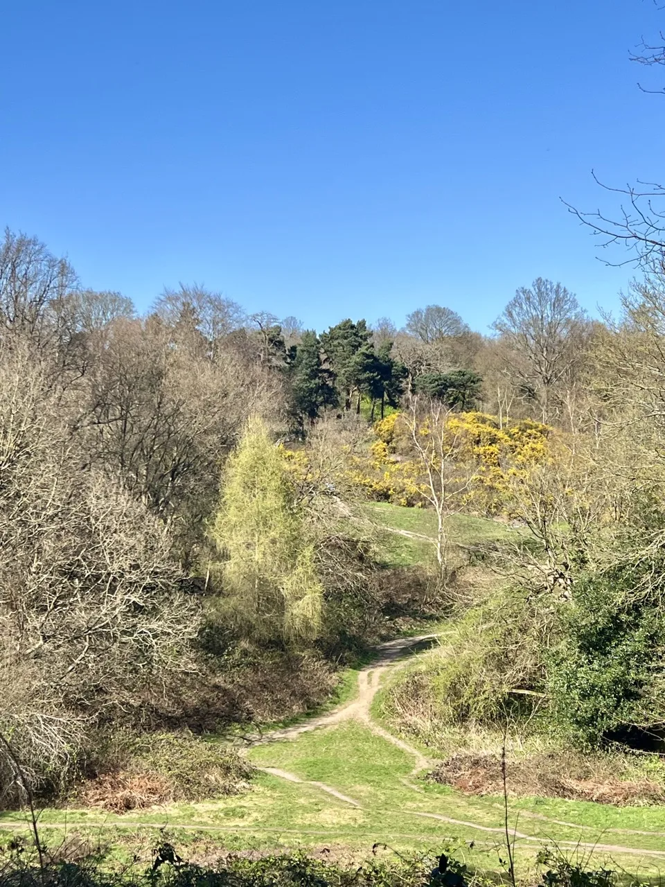 hampstead_heath