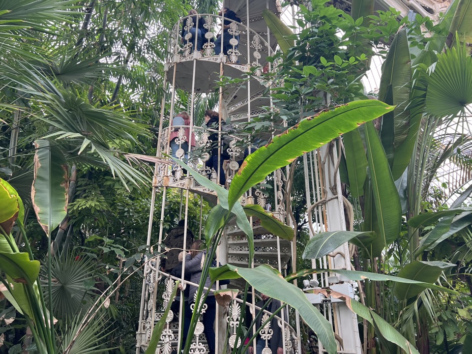 Palm House