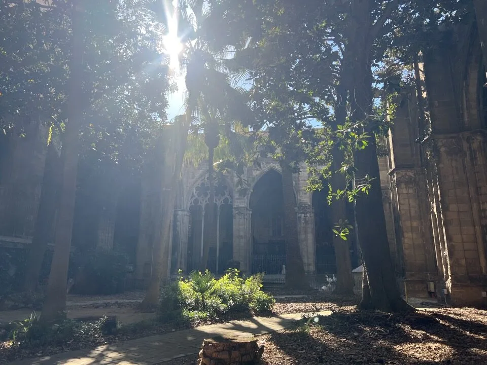 Barcelona less expensive