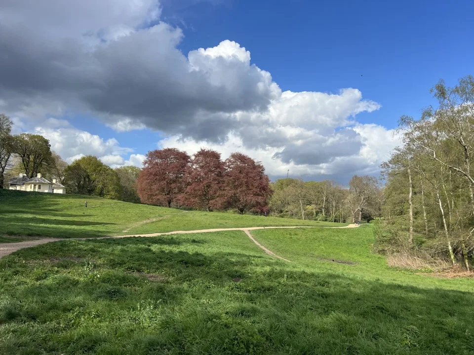 hampstead heath