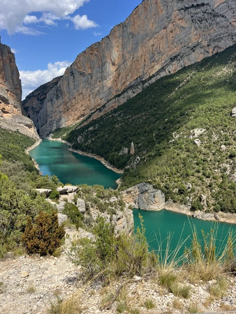 rando aragon