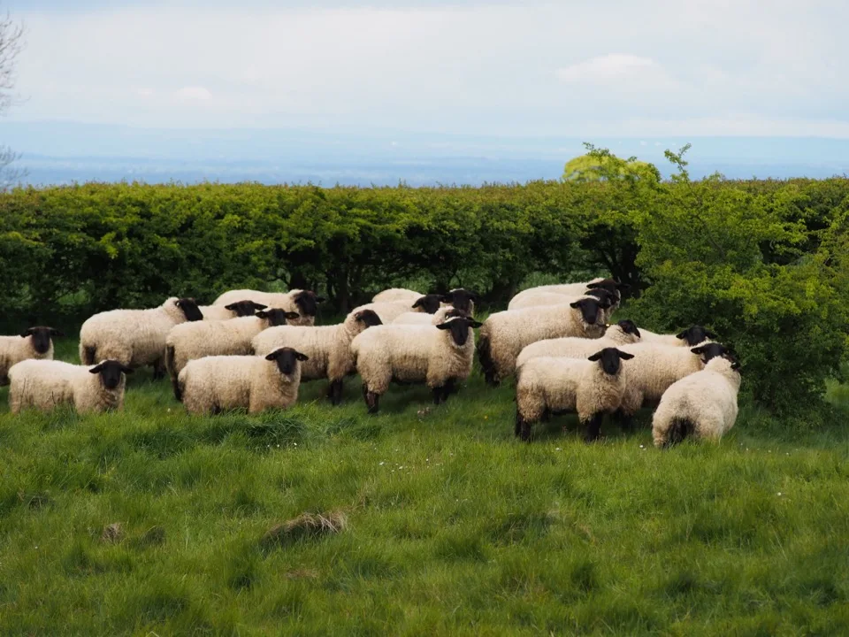 4 jours dans le Yorkshire
