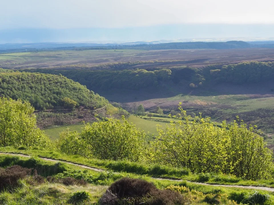 yorkshire