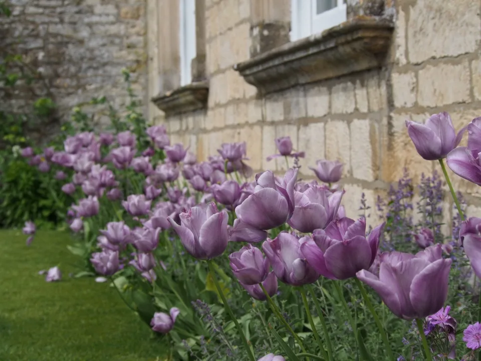 4 jours dans le Yorkshire