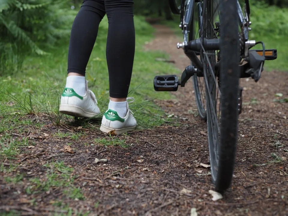 cycling in the New Forest