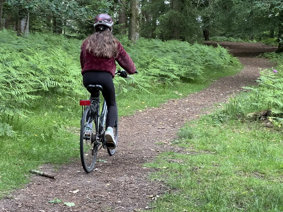cycling in the New Forest