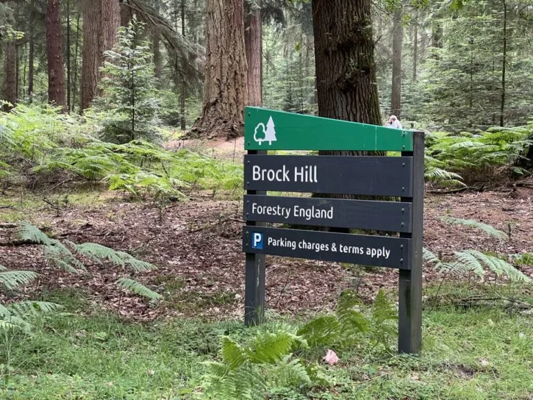 Brock Hill Forestry England sign