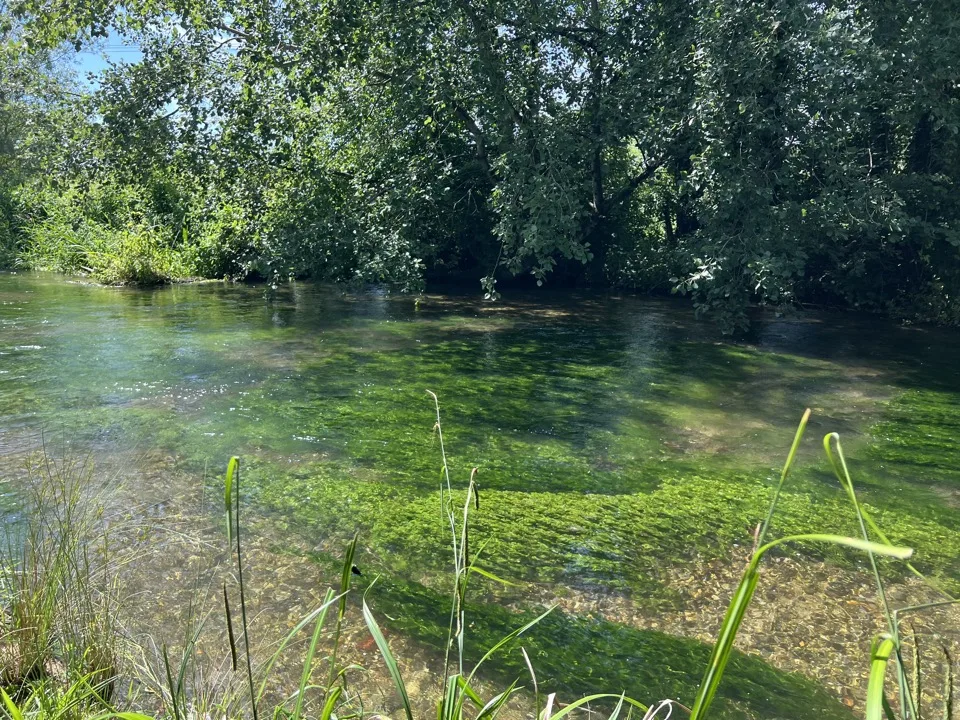 visiter Alresford hampshire