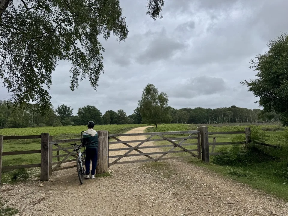 new forest by bike