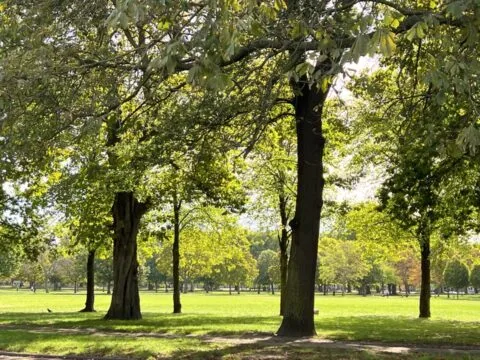Direction le quartier de Hackney dans l'est de Londres : parcs, marchés, musées et petite ferme pour les plus jeunes !