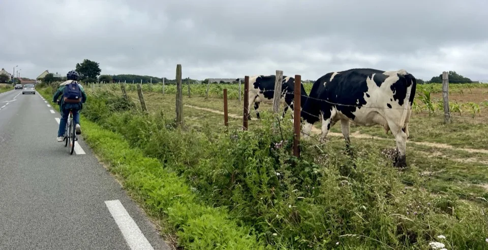 de boulogne sur mer au touquet à vélo