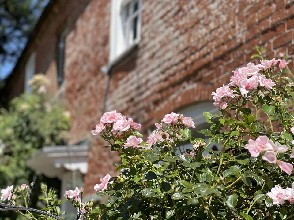 cottage jane austen