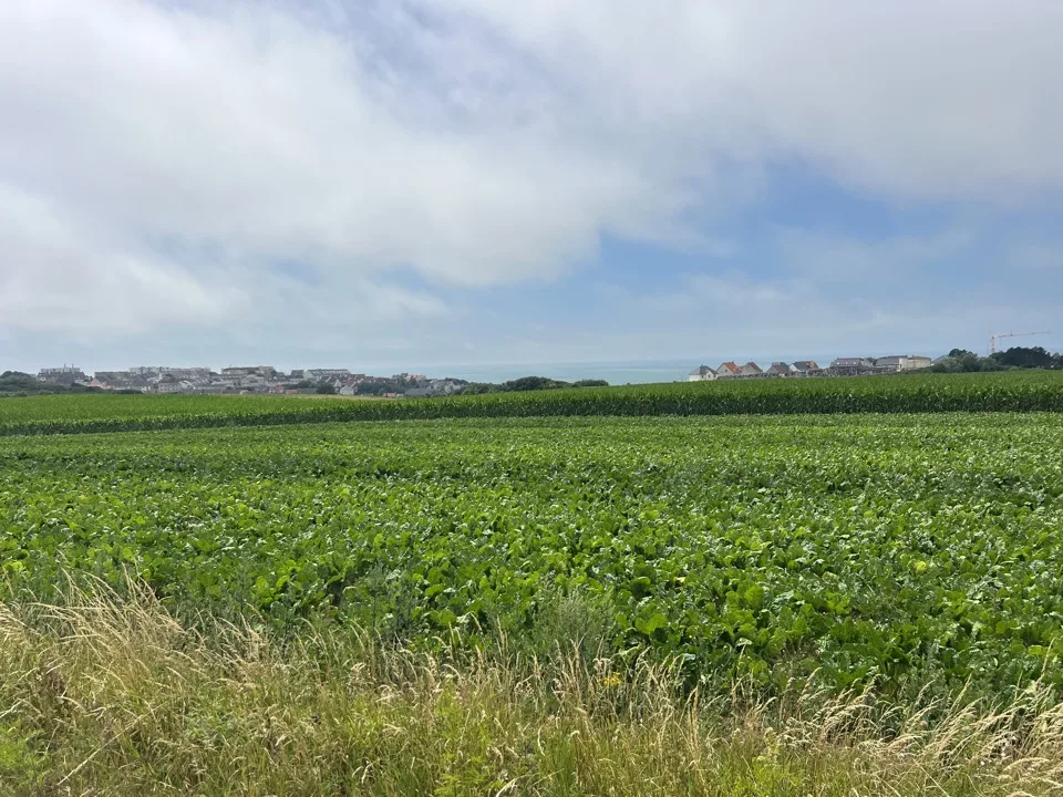 De Boulogne-sur-Mer au Touquet à vélo