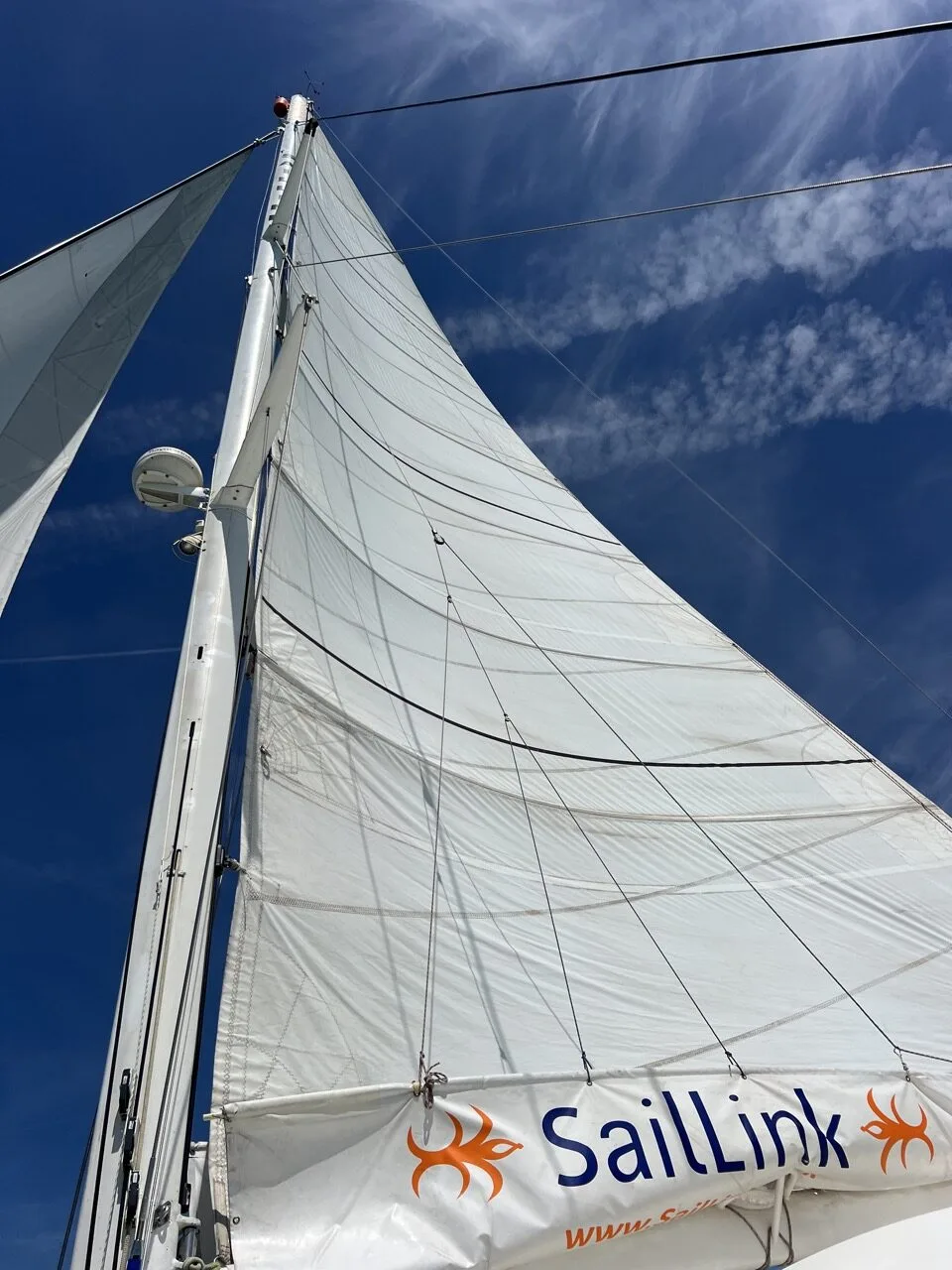 saillink_catamaran