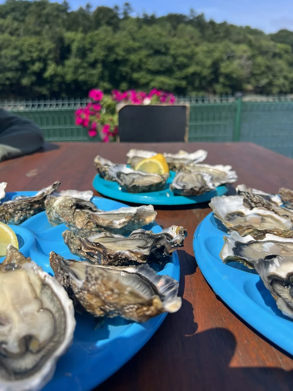 incontournables dans le Finistères sud