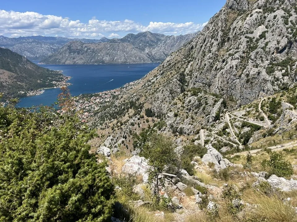 rando kotor