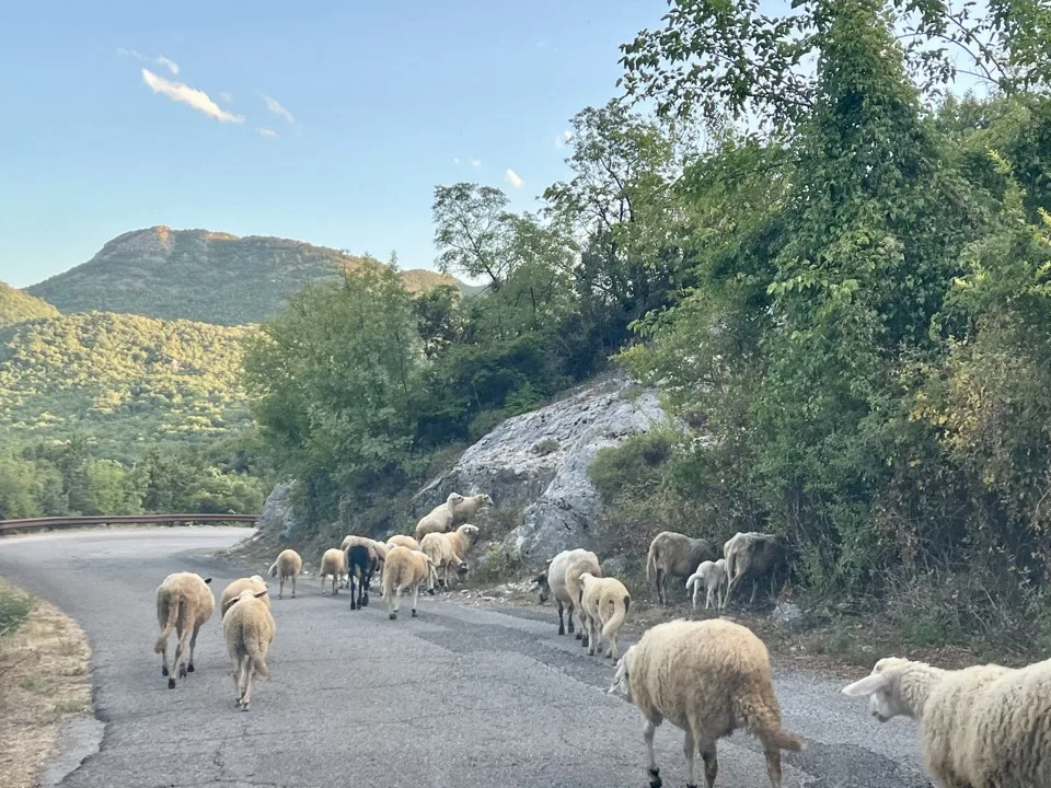 location de voiture Monténégro