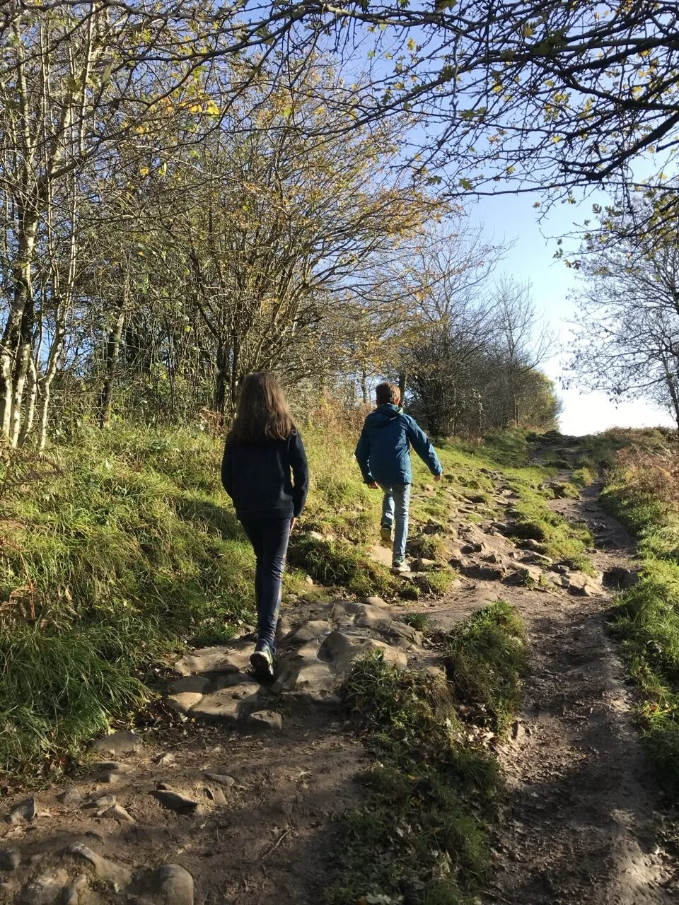 Deux enfants vus de dos sur un sentier boisé des gorges de Cheddar