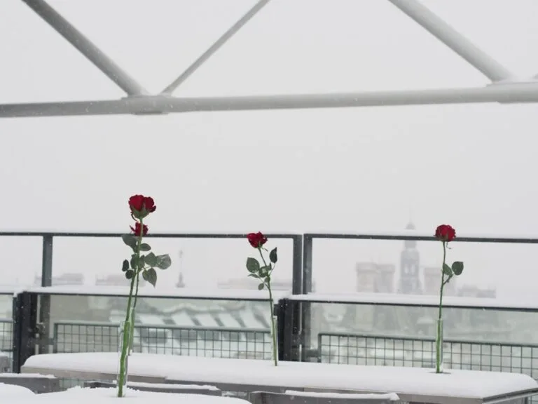 paris sous la neige