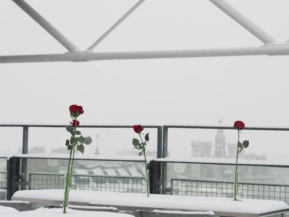 paris sous la neige