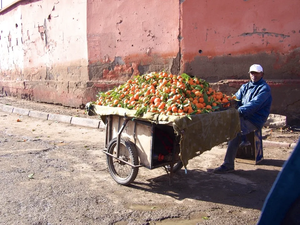 visiter Marrakech