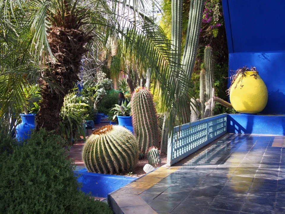 jardin majorelle marrakech