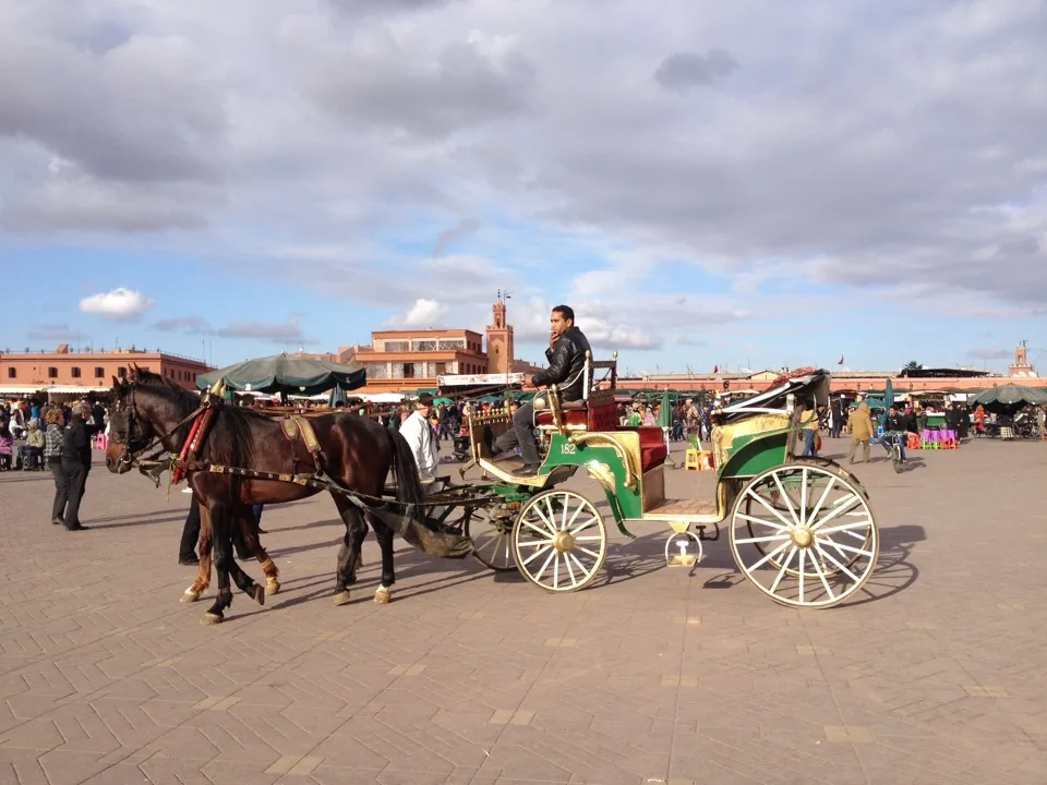 visiter Marrakech