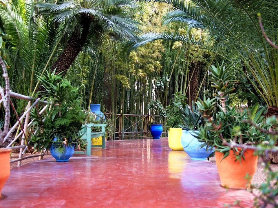jardin majorelle marrakech