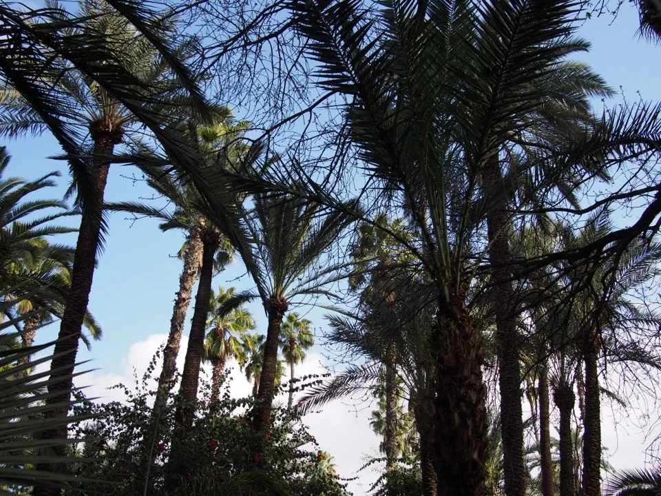 visiter Marrakech